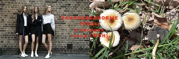 прущий лед Алексеевка