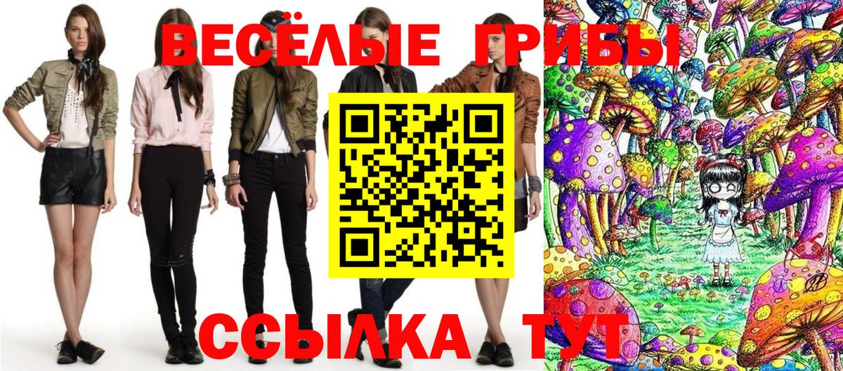 Мытищи  Галлюциногенные грибы Magic Shrooms  Вход с VPN 