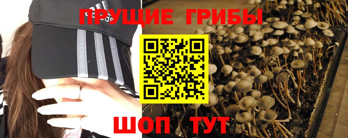  Cocaine Мытищи